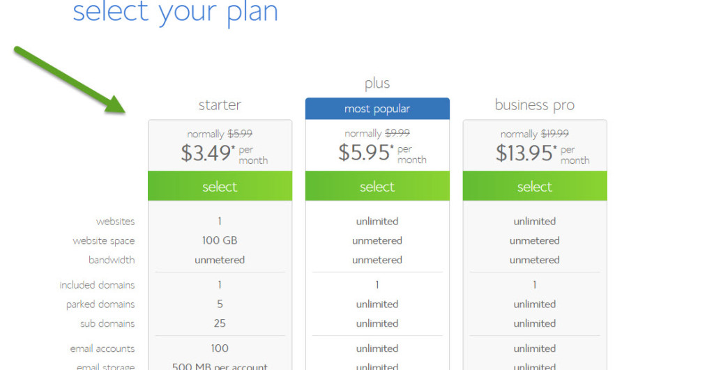 Bluehost Hosting Plan Selection