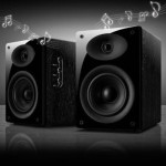 HiVi speakers – D1010MKII 08 Version 2.0 Multimedia