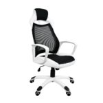 What are the Best Computer Chair Under 200 Dollars ? & for Back Pain